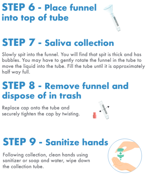Steps 6-10 of a Saliva-Based Test for COVID-19