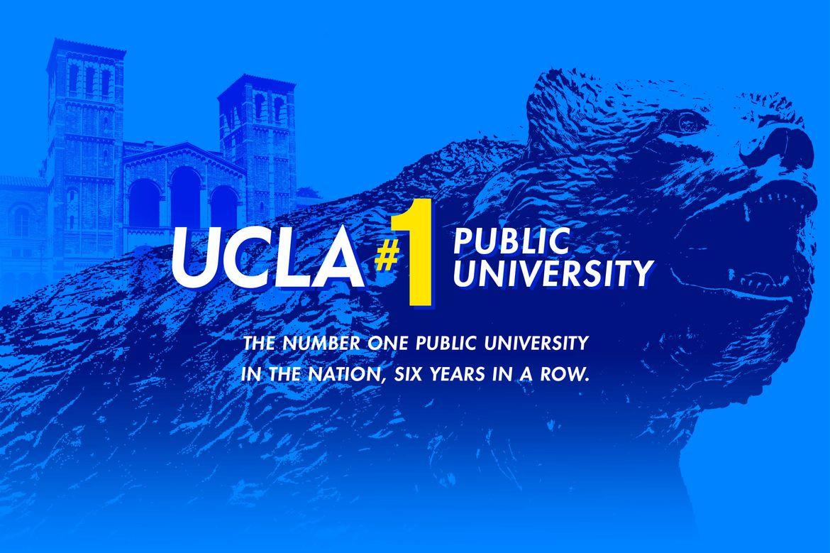Bruin Bear graphic with UCLA #1 Public University text