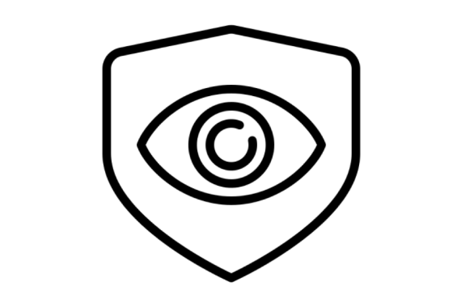 Icon of an eye inside of a shield
