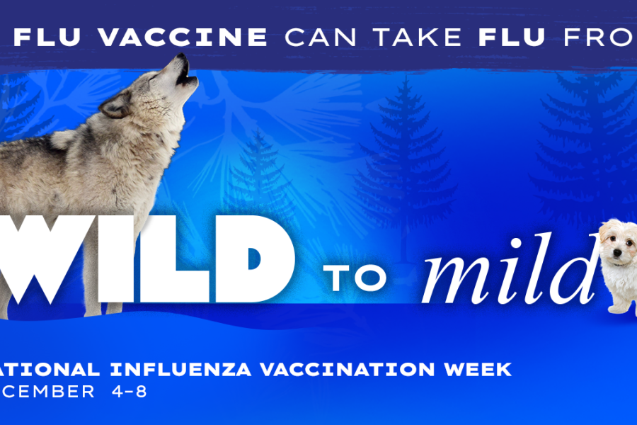 CDC Graphic depicting a wolf and a puppy dog to promote National Influenza Week